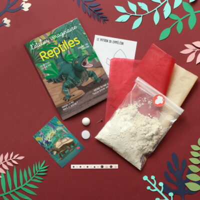 atelier-imaginaire-Kit-reptiles-contenu