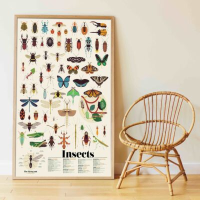 poppik-affiche-poster-stickers-discovery-geant-les-insectes-apercu
