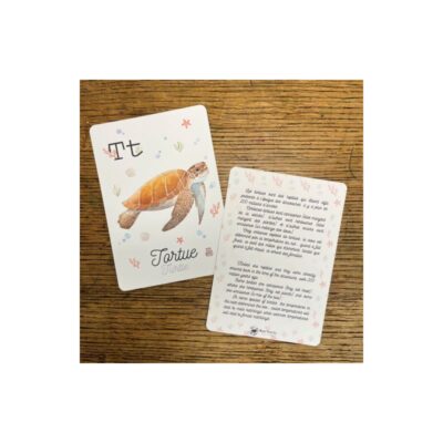 cartes-labc-des-animaux-apprendre-l-alphabet-en-s-amusant-francais-anglais-tortue