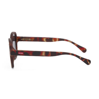 lunette-de-soleil-hello-hossy-koody-craky-cream-creme-2-3-5-8-cote